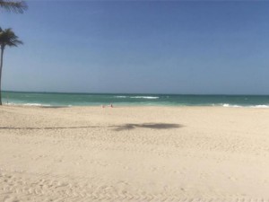 Объединенные Арабские Эмираты